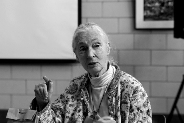 Jane Goodall Institute, Roots & Shoots Program